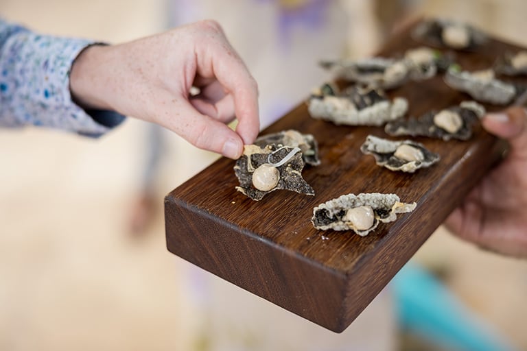 Precio Catering Mallorca | Empresa de Catering